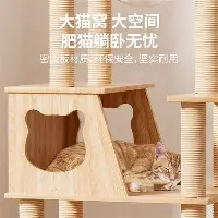 欧宝体育-关于重磅！尼斯完成体检备战社区盾托特纳姆造点机会备战国王杯，巴塞罗那伤情更新备战社区盾的信息